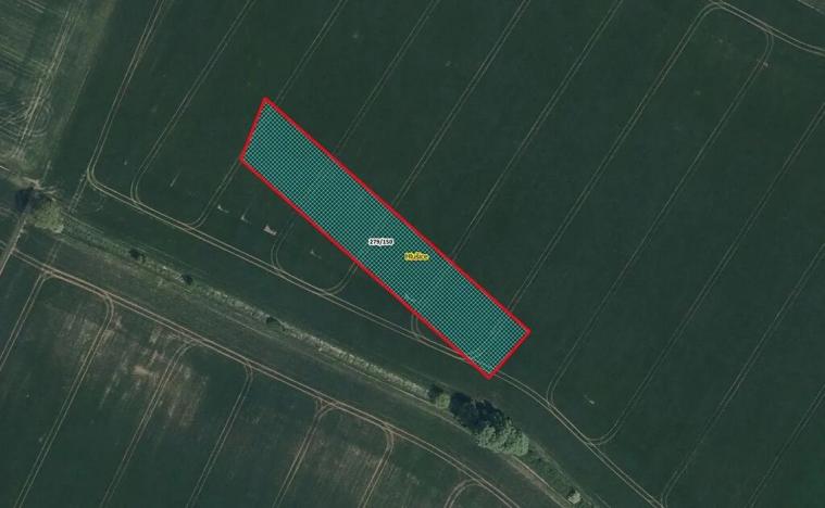 Prodej pole, Hlušice, 4486 m2