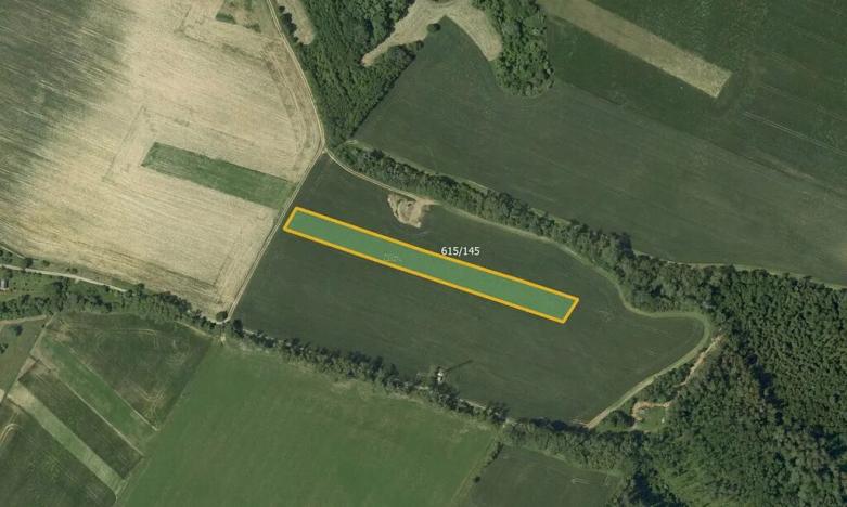 Prodej pole, Světlá, 6000 m2