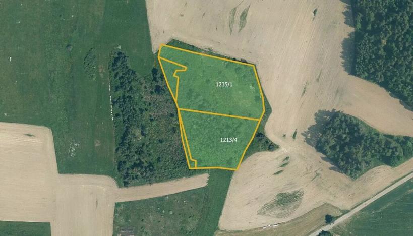 Prodej pole, Velký Bor, 45700 m2