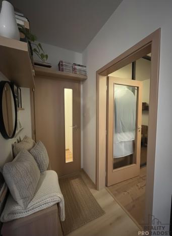 Prodej bytu 2+kk, České Budějovice, U Cihelny, 55 m2