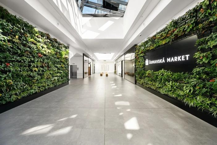 Pronájem kanceláře, Brno, Šumavská, 490 m2