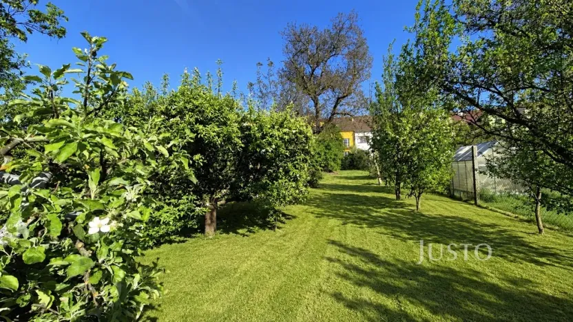 Prodej vícegeneračního domu, Písek, Harantova, 454 m2