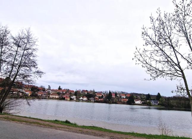 Prodej rodinného domu, Svojšice, 93 m2