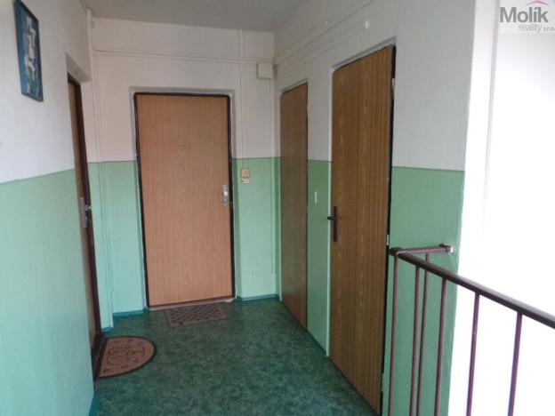 Prodej bytu 2+kk, Most, Albrechtická, 38 m2