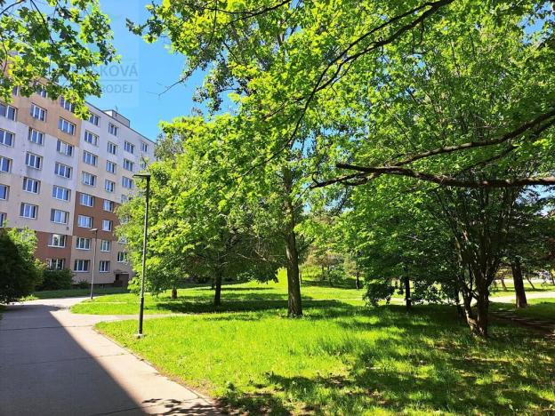 Pronájem bytu 3+1, Ostrava, Aloise Gavlase, 73 m2