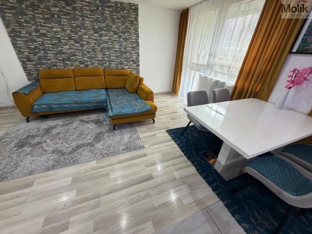 Prodej bytu 3+1, Most, Františka Malíka, 69 m2