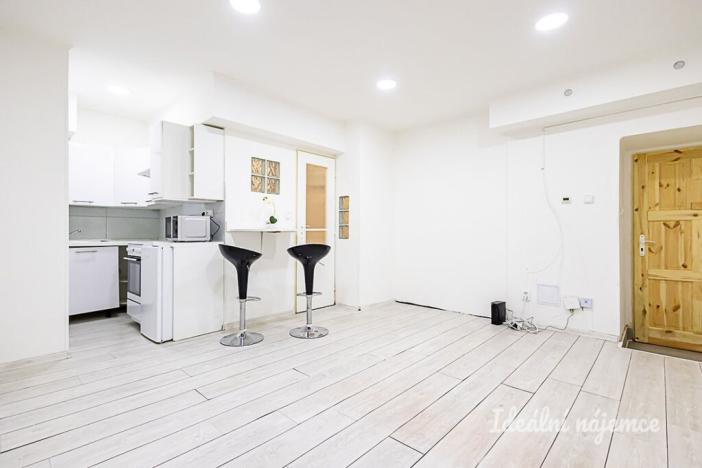 Pronájem bytu 1+kk, Praha - Libeň, Na Rokytce, 25 m2