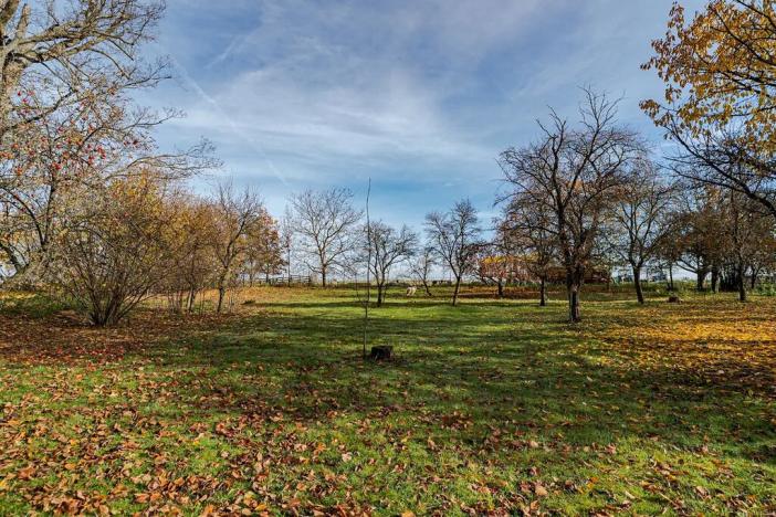 Prodej zemědělské usedlosti, Vysoké Mýto, 250 m2