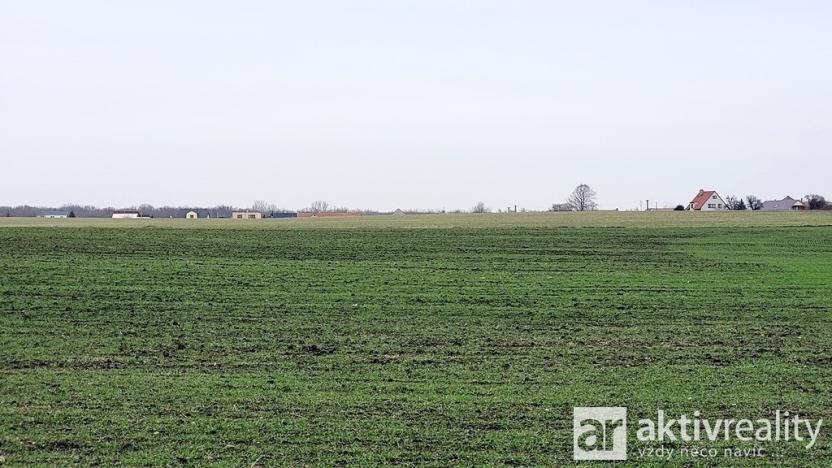 Prodej pole, Kostelec nad Labem - Jiřice, 11950 m2