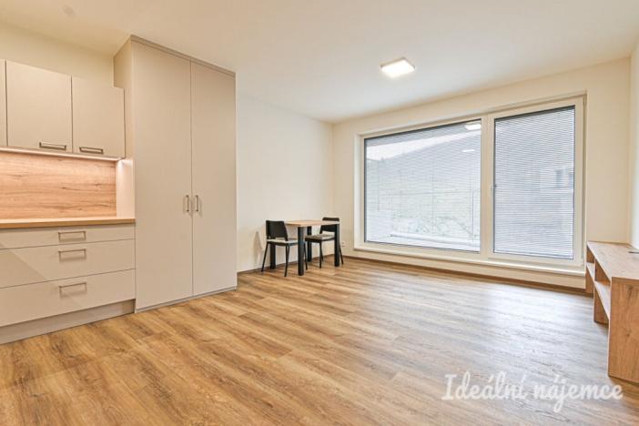 Pronájem bytu 1+kk, Brno, Bystrcká, 36 m2