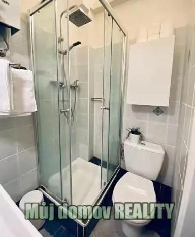 Pronájem bytu 2+kk, Praha - Vinohrady, Lucemburská, 50 m2