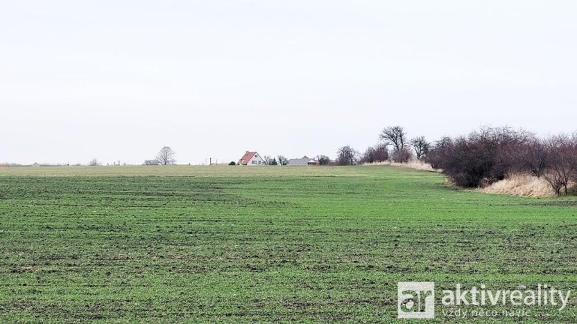 Prodej pole, Kostelec nad Labem - Jiřice, 7464 m2