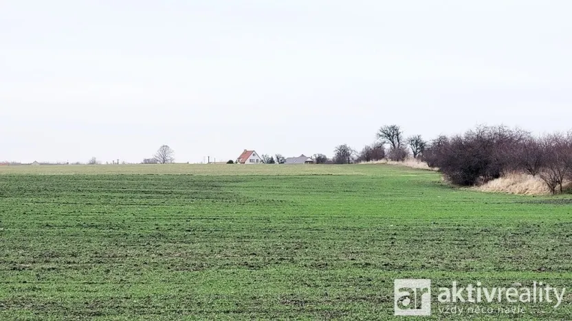 Prodej pole, Kostelec nad Labem - Jiřice, 7464 m2