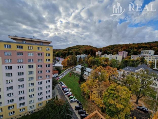 Prodej bytu 2+1, Litvínov - Horní Litvínov, Tylova, 53 m2