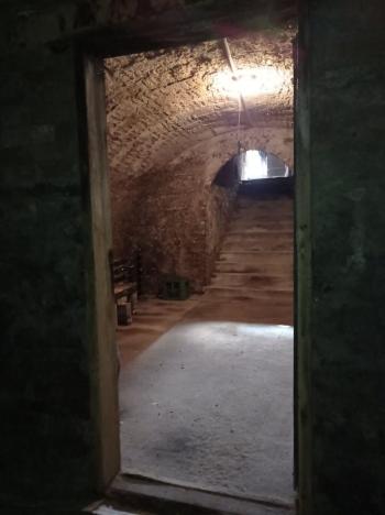 Prodej vinného sklepa, Drnholec, 60 m2