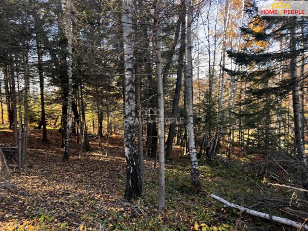 Prodej pozemku pro bydlení, Chvalčov, 3129 m2