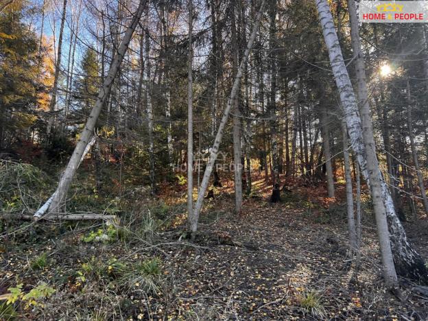 Prodej pozemku pro bydlení, Chvalčov, 3129 m2