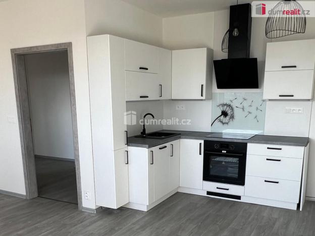 Pronájem bytu 2+kk, Ostrov, Lidická, 50 m2