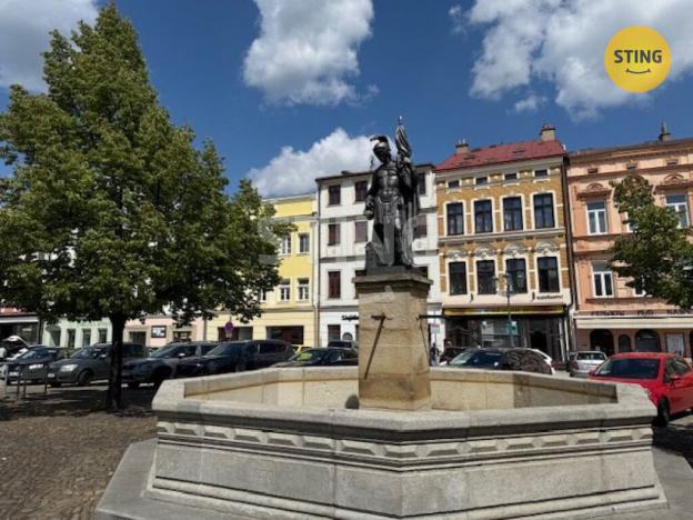 Pronájem kanceláře, Frýdek-Místek, Zámecké nám., 25 m2