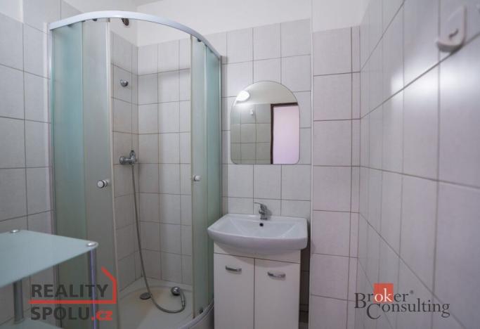 Pronájem bytu 1+1, Plzeň - Jižní Předměstí, U Borského parku, 42 m2