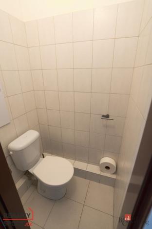 Pronájem bytu 1+1, Plzeň - Jižní Předměstí, U Borského parku, 42 m2