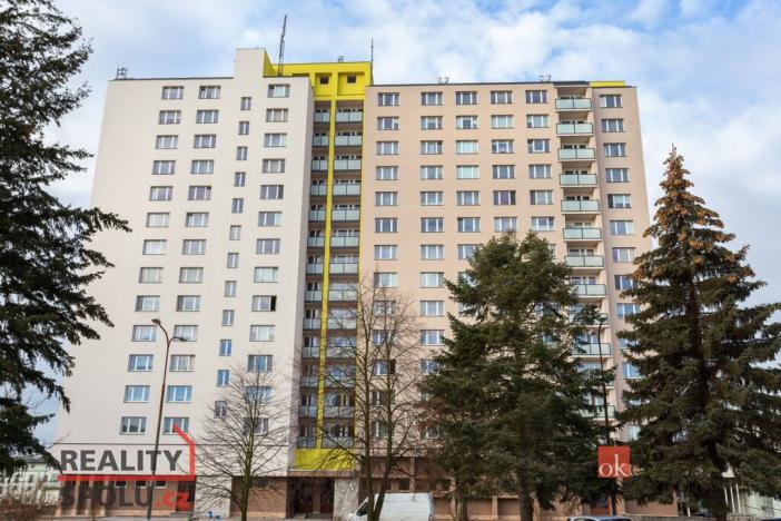 Pronájem bytu 1+1, Plzeň - Jižní Předměstí, U Borského parku, 42 m2