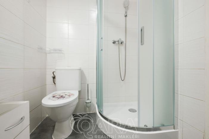 Pronájem bytu 1+kk, Benátky nad Jizerou - Benátky nad Jizerou I, Vaněčkova, 32 m2