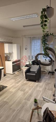 Pronájem obchodního prostoru, Třinec - Staré Město, 1. máje, 31 m2