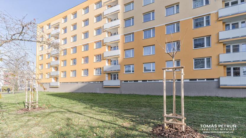 Pronájem bytu 2+kk, Hradec Králové - Nový Hradec Králové, Fričova, 35 m2