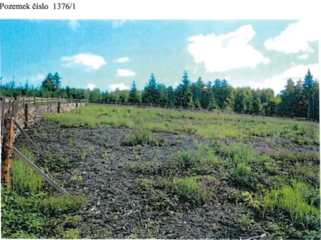 Prodej lesa, Česká Bělá, 18552 m2