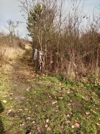 Prodej zahrady, Brno, 1700 m2