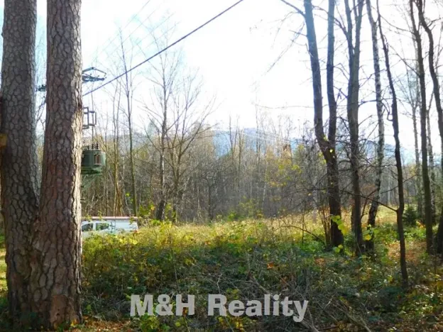 Prodej rodinného domu, Frýdlant nad Ostravicí, Podlesí, 42 m2