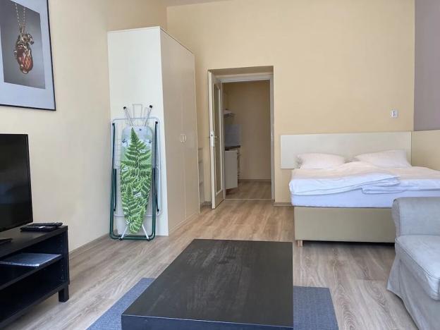 Pronájem bytu 1+1, Praha - Vinohrady, Máchova, 40 m2