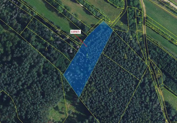 Dražba lesa, Žďárec, 3474 m2