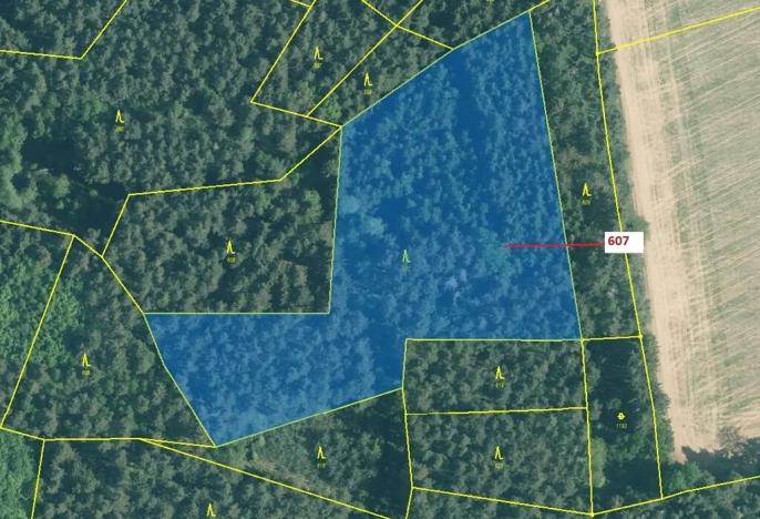 Dražba lesa, Kuřimany, 10437 m2