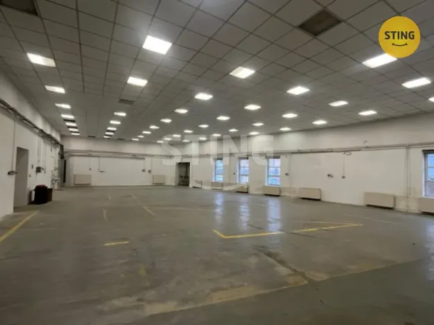 Pronájem skladu, Opava, Rybářská, 605 m2