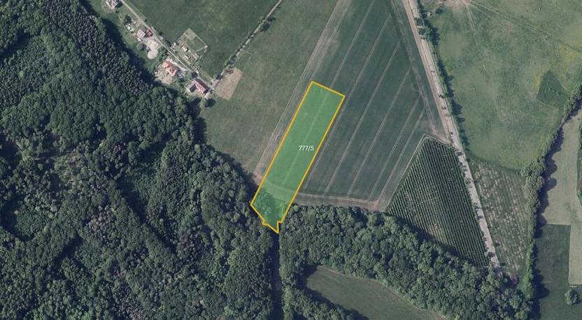 Prodej pole, Třebušín, 32021 m2