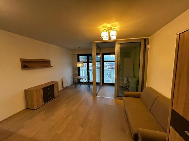 Pronájem bytu 1+kk, Praha - Žižkov, Olšanská, 36 m2