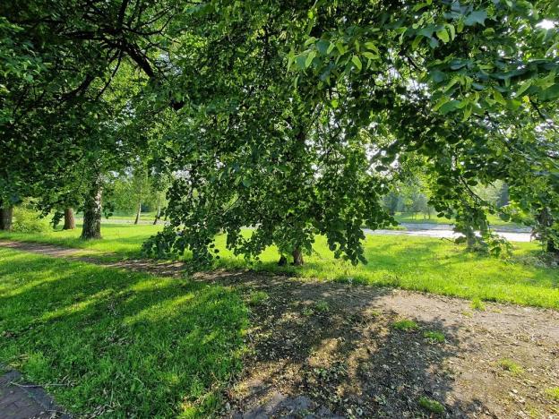 Prodej rodinného domu, Frýdek-Místek, Přemyslovců, 160 m2