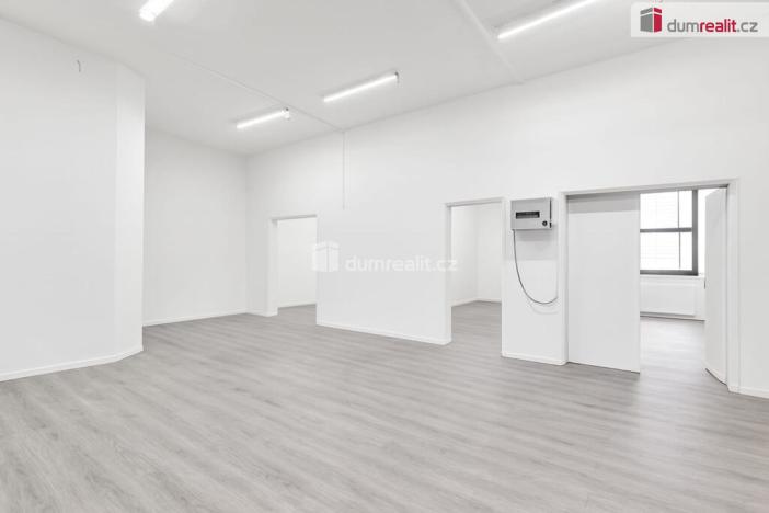 Prodej obchodního prostoru, Ústí nad Labem - Ústí nad Labem-centrum, SNP, 191 m2