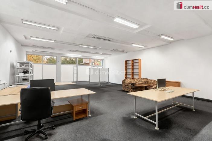 Prodej obchodního prostoru, Ústí nad Labem - Ústí nad Labem-centrum, SNP, 191 m2