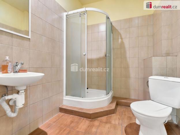 Prodej obchodního prostoru, Ústí nad Labem - Ústí nad Labem-centrum, SNP, 191 m2