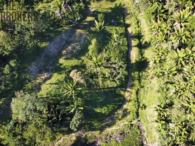 Prodej pozemku, Coxen Hole, Roatán, Honduras, 350 m2