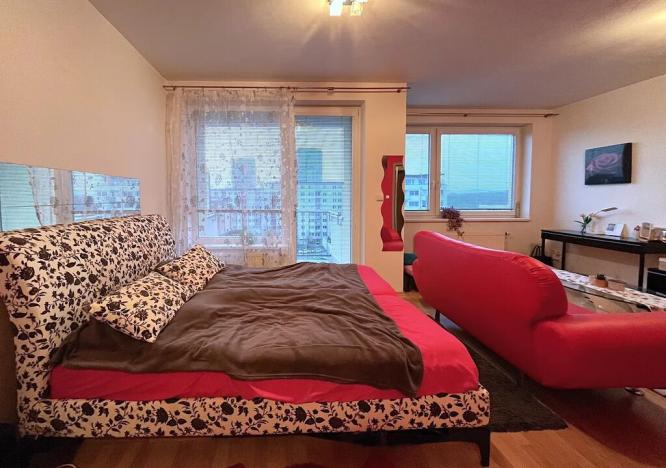 Pronájem bytu 1+kk, Brno, Dusíkova, 40 m2