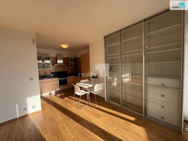 Pronájem bytu 1+kk, Praha - Libeň, Nad Okrouhlíkem, 45 m2