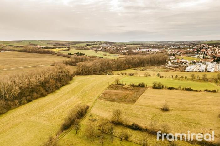 Prodej pozemku pro bydlení, Rousínov - Čechyně, 538 m2