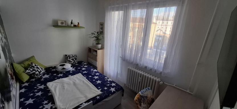 Prodej bytu 2+1, Slaný, Stehlíkova, 56 m2