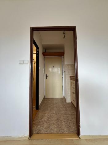 Pronájem bytu 1+kk, Ostrava, Krakovská, 19 m2