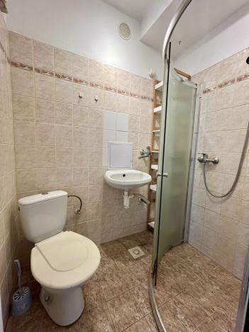 Pronájem bytu 1+kk, Ostrava, Krakovská, 19 m2