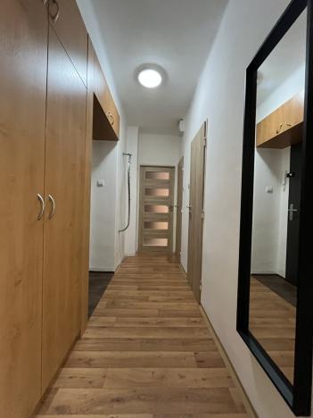 Pronájem bytu 2+kk, Ostrava - Poruba, Španielova, 55 m2